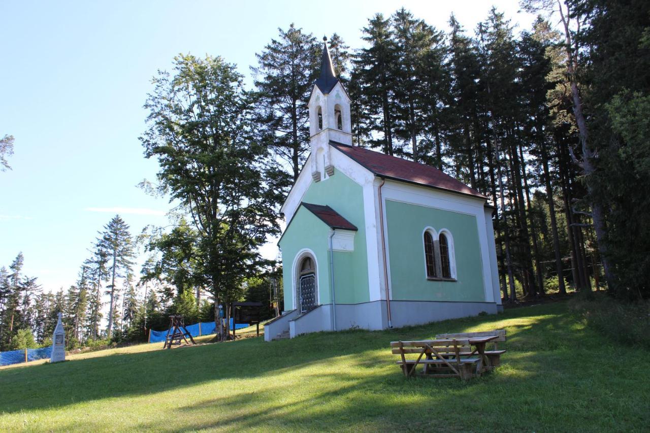 Lipno Wellness - C 402-403 * Frymburk